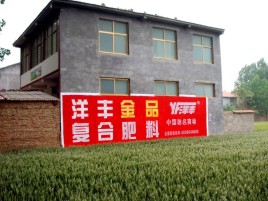 瑞金如何让墙体广告展现最大化效果