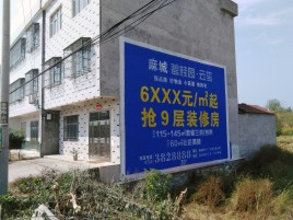 瑞金墙体广告质量分析