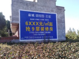 瑞金品牌公司青睐的墙体广告