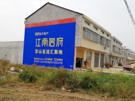瑞金农村墙体广告在不同形式上面展现的不同特色