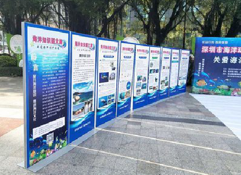 瑞金KT板的种类和知识。